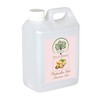 RADANYA Ayurveda RADANYA Ayurveda Pistachio Nut Carrier Oil 100% Pure