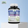 PNC Nutrition Cissus Extract Cissus Caesars 100x Highly Concentrated 1200mg