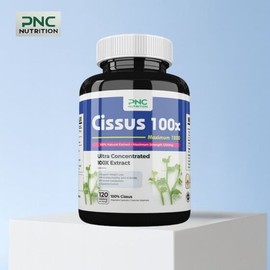 PNC Nutrition Cissus Extract Cissus Caesars 100x Highly Concentrated 1200mg 120 Capsules / PNC Nutrition 시서스 추출물 씨서스 시저스 100배 고농축 1200mg 120캡슐