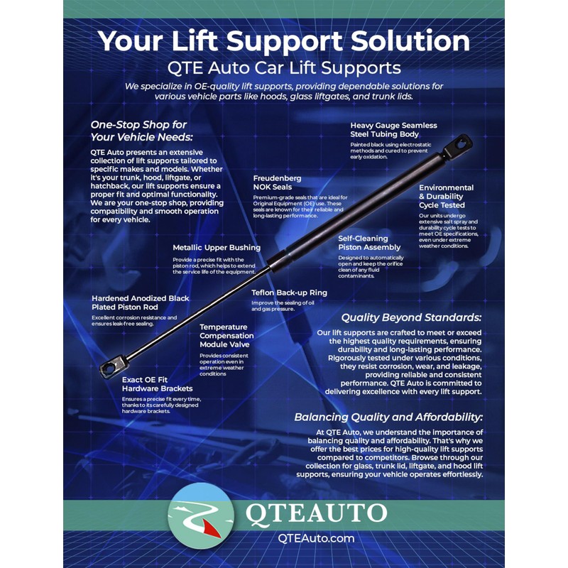 PM Auto Pair of 2 Rear Back Glass Lift Support