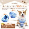 JCW Dog Postoperative Clothes Elizabeth Collar Male Female Dog Clothes