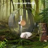 BUCATSTATE Hamster Wheel Silent 12.5inch, Acrylic Hamster Exercise Wheel with
