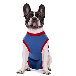 Dog surgical recovery kit, dog waterproof recovery kit, wound protection surgical suit, postoperative cone replacement, postoperative female or male surgical suit (M, Blue)