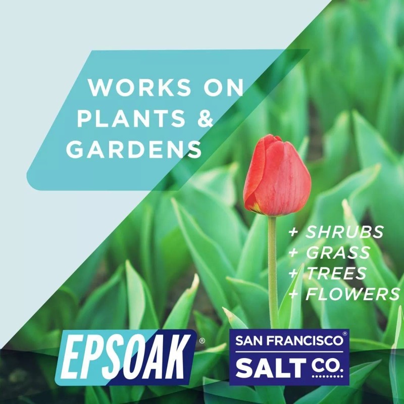 Epsoak Sal De Epsom 2 Libras. Usp Sulfato De Magnesio