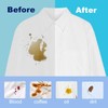 FlowCheer Laundry Detergent Sheets 10 Loads, Fragrance Free, Plastic-Free, Powerful