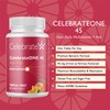 Celebrate Vitamins CelebrateONE 45 Chewables, 45mg Iron - Once Daily