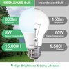 DEGNJU 36 Pack LED Light Bulbs 60 Watt Equivalent, A19