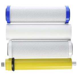 IPW Industries Inc Watts Premier WP4-V Filter Annual Bundle (24 GPD)