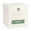 Northern Lights Candles - ESQUE Insert - 9oz - Evergreen