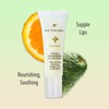 SUNDÃRI Omega 3 and Mandarin Lip Treatment