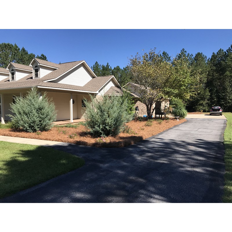 Pine Straw Mulch - 14" Premium Long Needle - 240