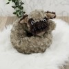 Novelty Pug Dog Design Draft Excluder - Beige Cushion Door