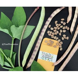 Yard Yummies 25 Mavuno Cowpea SEEDS Sprawling Cow pea Seeds Vigna unguiculata Cover Crop