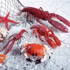 Decorative Crab 20 cm Diameter Orange 1 Piece Decoration Supplies