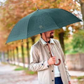 PERLETTI Green Herren Regenschirm Automatik mit Holzgriff - Jungen Kompakter Taschenschirm Recyceltem Stoff - Regen Schirm Windfest Sturmfest Windsicher Winddicht - Durchmesser 96 cm (Blau Gestreift)