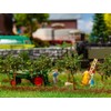 10 Small Apple Trees