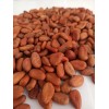 Cacao Seco En Grano 1 Kg De Chiapas