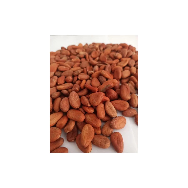 Cacao Seco En Grano 1 Kg De Chiapas