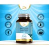 LN Bacillus Subtilis | 90 High Strength Probiotic Supplements -