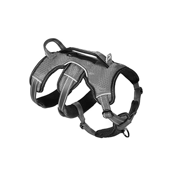 Tuff Pupper Updated for 2022 - Tracker No Escape Dog