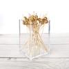 100Pack Cocktail Picks, Wooden Cocktail Toothpicks for Drinks Appetizers with
