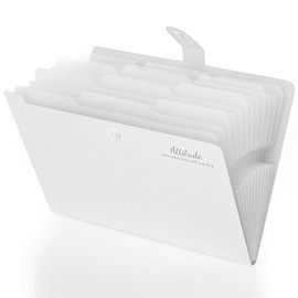 Document Folder A4, Folder A4 with 12 Compartments, Expanding Folder A4 with Labels, Portable Organiser Folder System, Document Folder for Home, Office, School and Travel (White)