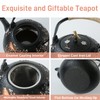 Cast Iron Teapot SECHUDO Teapot for Stovetop Safe Coated with