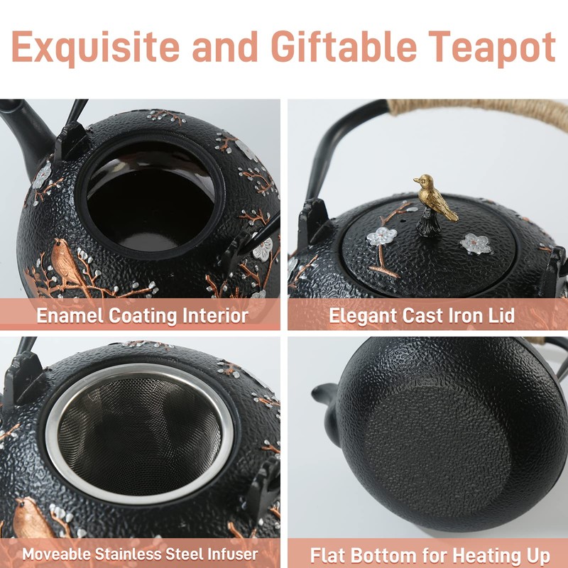 Cast Iron Teapot SECHUDO Teapot for Stovetop Safe Coated with