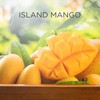 Air Wick |Island Mango|Plug In Electrical Air Freshener Refills| 19ml
