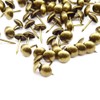 Ruidee 200 PCS Antique Upholstery Tacks,Upholstery Tacks Pins,Furniture Decorative Thumbtacks,Tacks