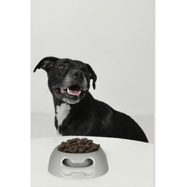 FenixDepot Round Plastic Pets Food Bowl
