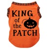 Petitebelle King Pumpkin Of The Patch Puppy Dog Shirt (Orange/Pumpkin