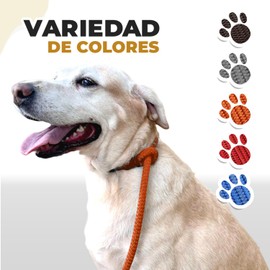 LOS LADRIDOS DE MEXICO Correa para Perro Premium Paseo y Entrenamiento Resistente Agarre Cómodo y Seguro para Mascota Chico o Mediano Poliéster (Anaranjado)