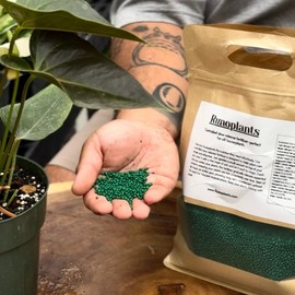 Slow Release Fertilizer for Indoor Plants - 1 Year Long-Lasting Nourishment FERTILIZANTE - Specification: 1 pound bag