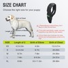 KISFLY Dog Elbow Pads for Calluses Pressure Sores and Shoulder