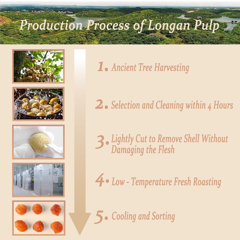 Dried Longan 5.3Oz/150g, Longan Fruit Seedless,100% Natural, No Sugar Added