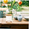 Abaodam 4pcs Transparent Hydroponic Planter Pots Imitation Glass Small Flower