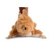 Petface Freddie Fox Cat Toy