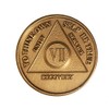 7 Year AA Medallion Traditional Bronze Raised Center Sobriety Chip