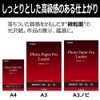 Canon 写真用紙 微粒面光沢 ラスター A4 20枚 LU-101A420