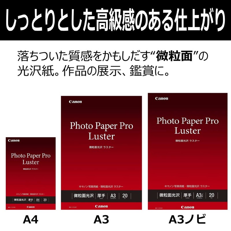 Canon 写真用紙 微粒面光沢 ラスター A4 20枚 LU-101A420
