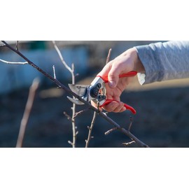 SwissCut Pro – Professional Bypass Hand Pruning Shears – Durable, Heavy Duty, Landscaping Secateurs/Scissors/Clippers-Trim your Garden, Rose Bushes, Gardenias and Outdoor Hedges