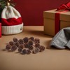 GRIRIW 100pcs Pine Cones Decorations - Natural Pine Cones Bulk