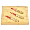 DURA LIVING 3-Piece Holiday Paring Knife Set, 3.5" Stainless Steel