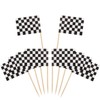 Pangda 100 Pack Checkered Racing Flag Toothpicks Cupcake Picks Toothpick