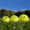 SPORTSPET XL Tennis Balls for Dogs - Extra Bouncy -