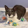 SPOT Stringy Mice & Balls - Catnip Cat Toys, Interactive,