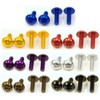 DURA-BOLT DBFB620G Button Bolts, M6-20mm, Gold, Set of 2