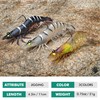 TRUSCEND Fishing Jigs Shrimp Lures LXG04-06