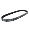 DAYCO 7186 V-Ribbed Belt